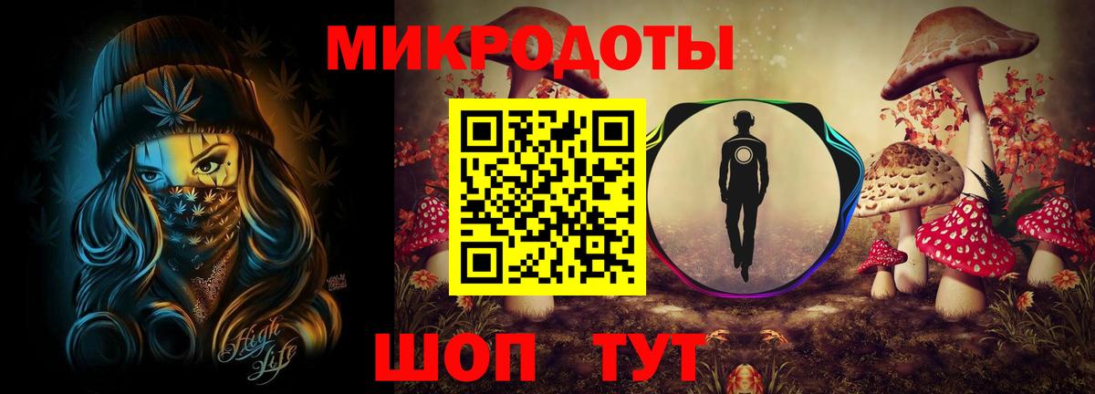 Севастополь  Псилоцибиновые грибы Cubensis  Вход с VPN 
